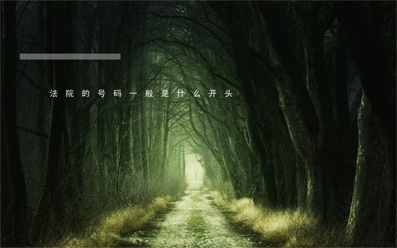 法院的号码一般是什么开头