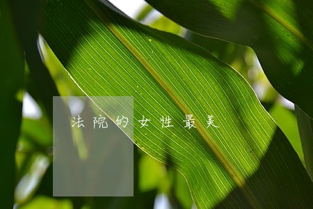 法院的女性最美 法院的女性最美