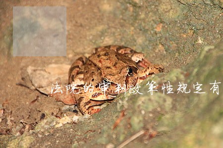 法院的审判政策性规定有哪些 法院的审判政策性规定有哪些