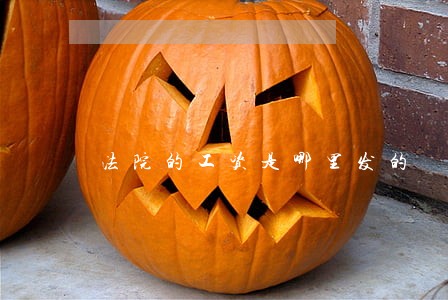 法院的工资是哪里发的