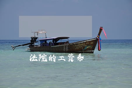 法院的工资条 法院的工资条
