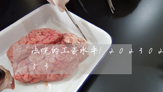 法院的工资水平/2023022796753