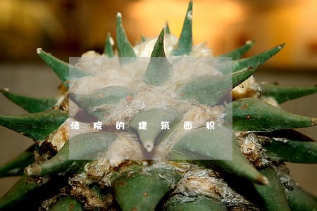 法院的建筑面积 法院的建筑面积