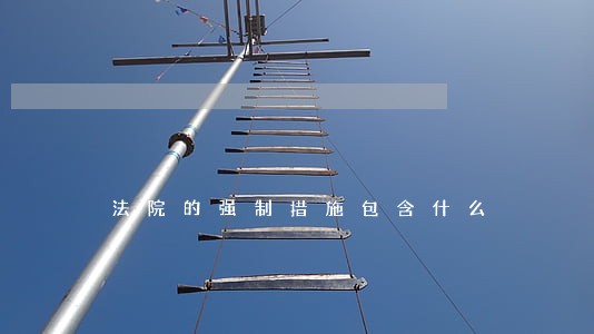 法院的强制措施包含什么 法院的强制措施包含什么