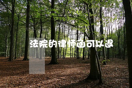 法院的律师函可以退 法院的律师函可以退