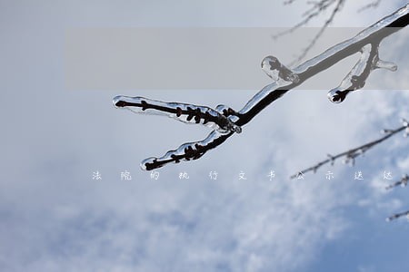 法院的执行文书公示送达 法院的执行文书公示送达