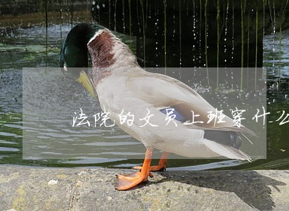 法院的文员上班穿什么衣服 法院的文员上班穿什么衣服