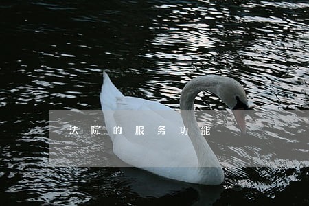 法院的服务功能 法院的服务功能