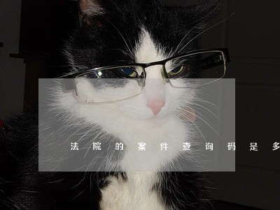 法院的案件查询码是多少 法院的案件查询码是多少