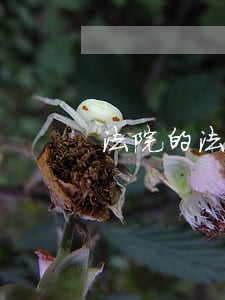 法院的法官违法找哪个部门 法院的法官违法找哪个部门