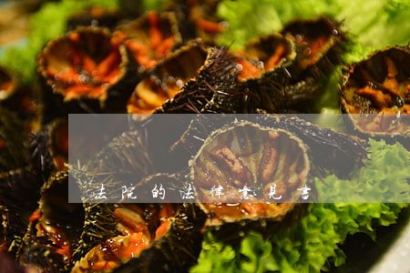 法院的法律意见书 法院的法律意见书