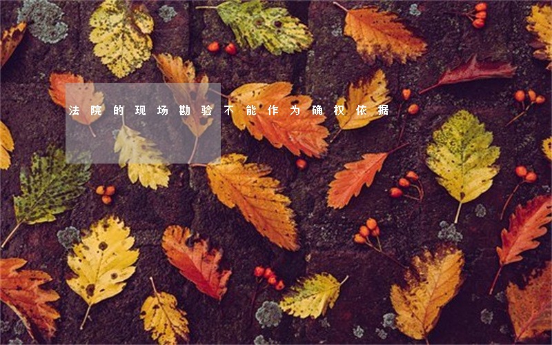 法院的现场勘验不能作为确权依据 法院的现场勘验不能作为确权依据