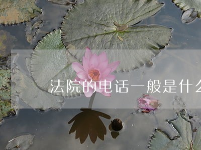 法院的电话一般是什么样的 法院的电话一般是什么样的