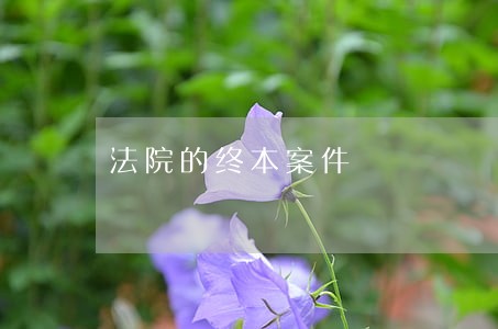 法院的终本案件 法院的终本案件