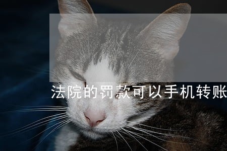 法院的罚款可以手机转账吗 法院的罚款可以手机转账吗