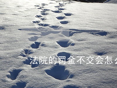 法院的罚金不交会怎么样 法院的罚金不交会怎么样
