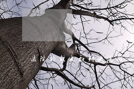 法院的裁定和判决适用 法院的裁定和判决适用