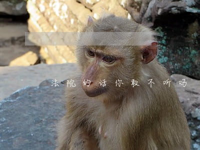 法院的话你敢不听吗 法院的话你敢不听吗