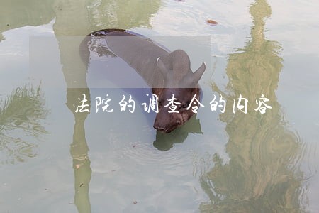 法院的调查令的内容
