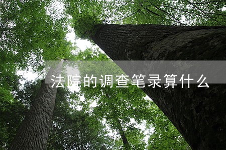 法院的调查笔录算什么