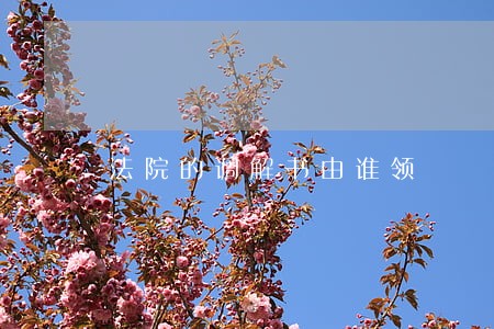 法院的调解书由谁领