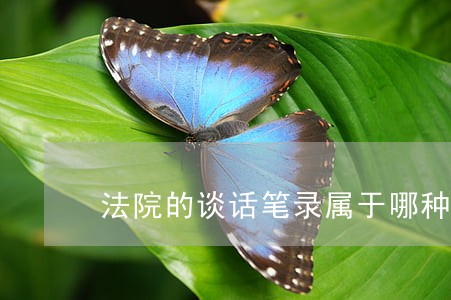 法院的谈话笔录属于哪种证据 法院的谈话笔录属于哪种证据