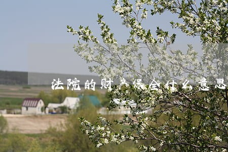 法院的财产保全什么意思 法院的财产保全什么意思