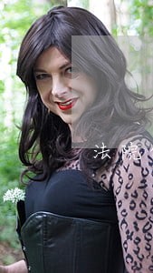 法院的配审员是咋样录用的 法院的配审员是咋样录用的