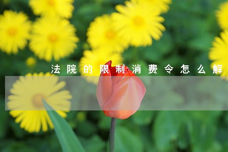 法院的限制消费令怎么解除