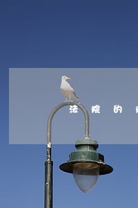 法院的限制消费令是什么意思 法院的限制消费令是什么意思