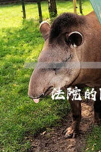 法院的陪审团是怎样选出来的 法院的陪审团是怎样选出来的
