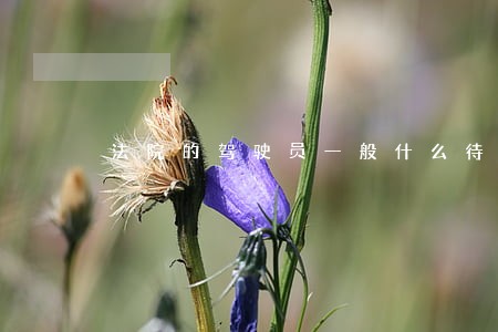 法院的驾驶员一般什么待遇 法院的驾驶员一般什么待遇