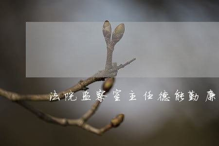 法院监察室主任德能勤廉 法院监察室主任德能勤廉