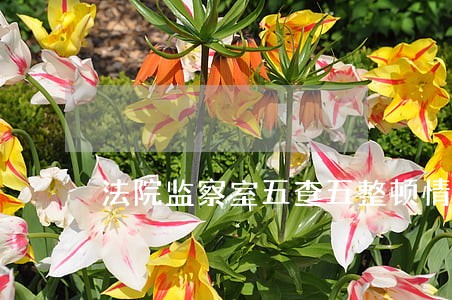 法院监察室五查五整顿情况汇报 法院监察室五查五整顿情况汇报