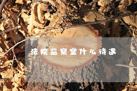 法院监察室什么待遇 法院监察室什么待遇