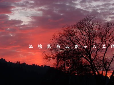 法院监察工作个人总结 法院监察工作个人总结