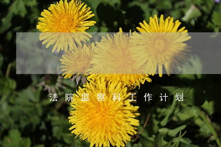 法院监察科工作计划 法院监察科工作计划