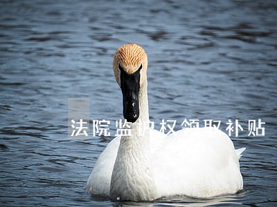 法院监护权领取补贴 法院监护权领取补贴