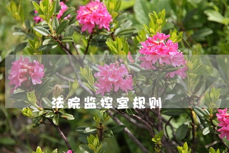 法院监控室规则 法院监控室规则