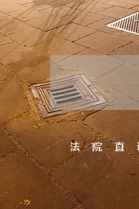 法院直诉程序 法院直诉程序