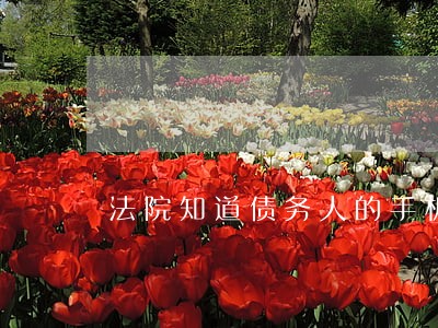 法院知道债务人的手机号 法院知道债务人的手机号