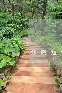 法院短信送达传票是否可以 法院短信送达传票是否可以