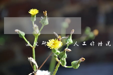 法院研究室个人工作情况总结 法院研究室个人工作情况总结
