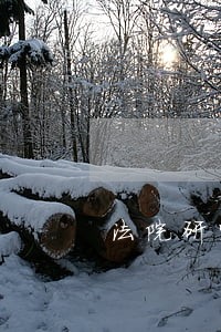 法院研究生报名系统 法院研究生报名系统