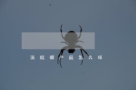 法院破产庭怎么样
