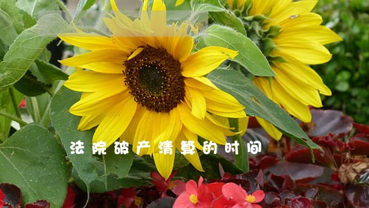 法院破产清算的时间