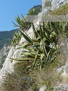 法院破产重整经验介绍 法院破产重整经验介绍