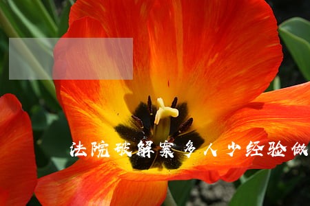 法院破解案多人少经验做法 法院破解案多人少经验做法