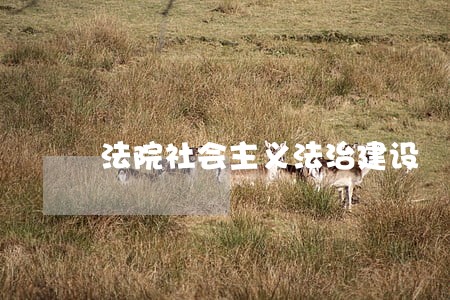 法院社会主义法治建设 法院社会主义法治建设