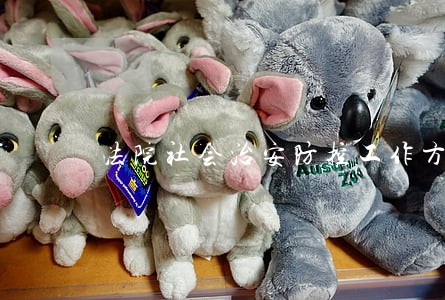 法院社会治安防控工作方案 法院社会治安防控工作方案